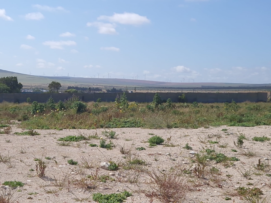 0 Bedroom Property for Sale in Middedorp Western Cape